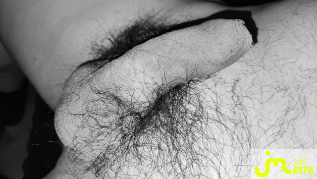 bites de abedibu