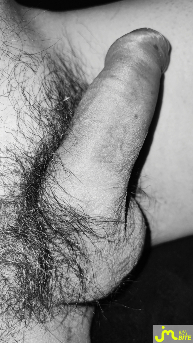bites de abedibu