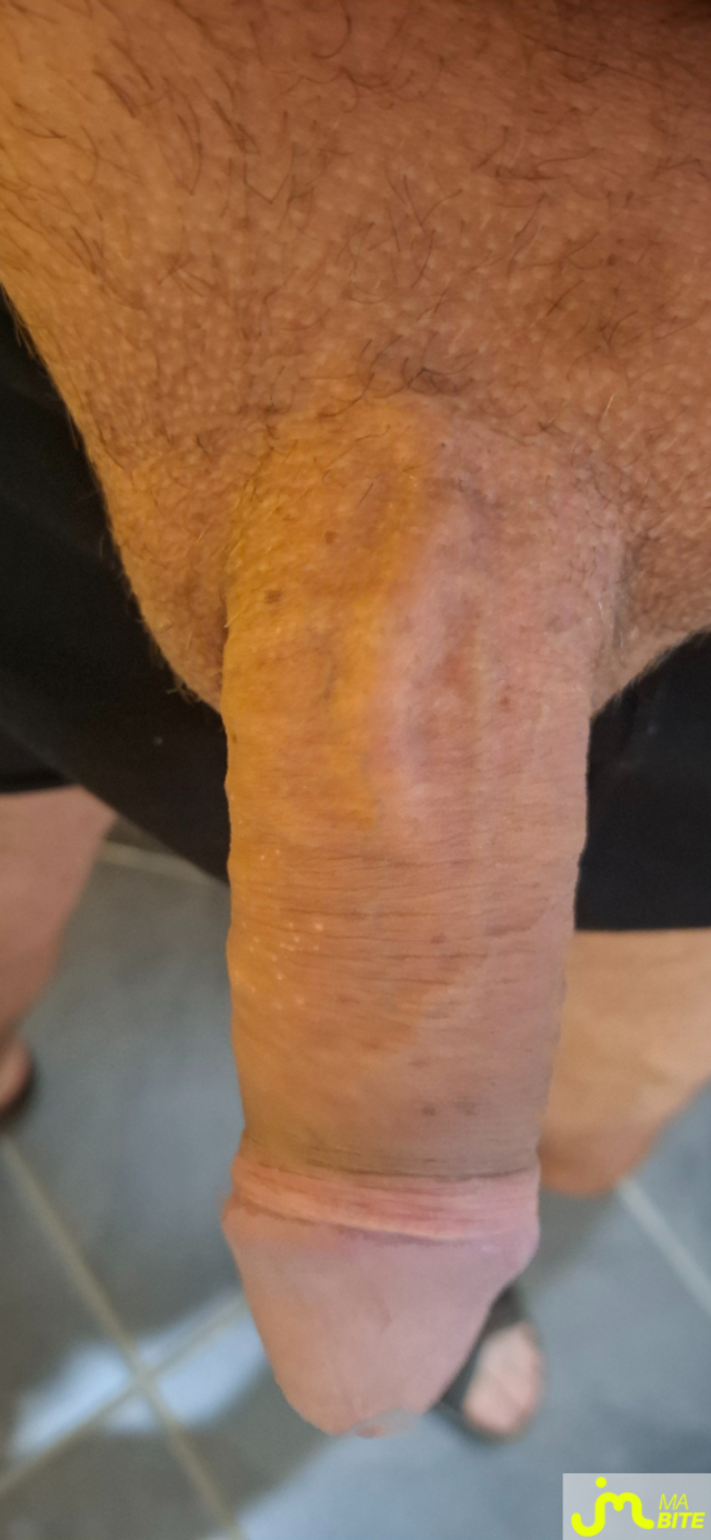 bites de Domic