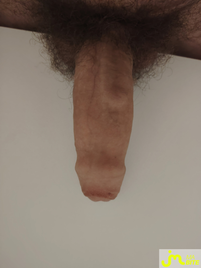 bites de Louis0pieux