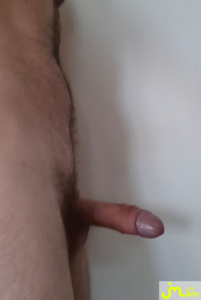 bites de Collector