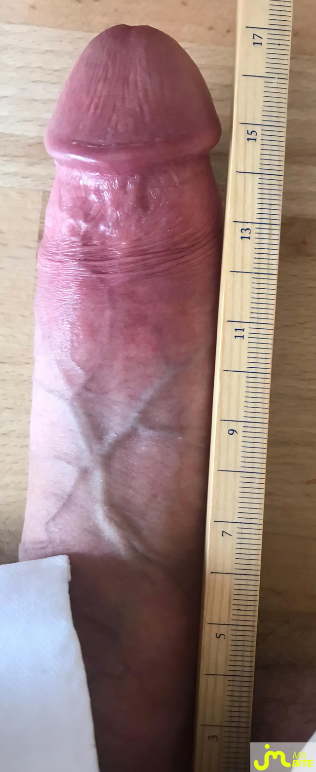 Photos de bites : La preuve en images  : 17 cms en &eacute;rection / 11,5 cms au repos