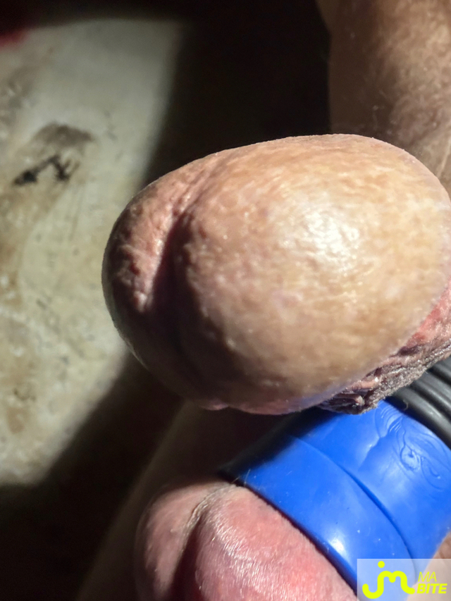 bites de Mau6950