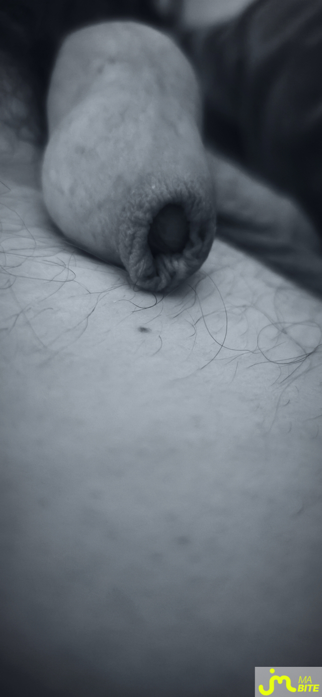 bites de Jeocruz3419