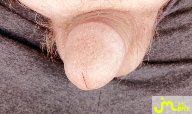bites de BlancVINT26