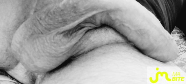 bites de Thomas276