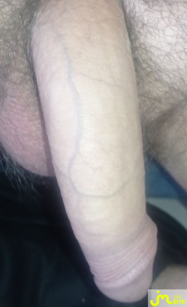 bites de AlphaCock