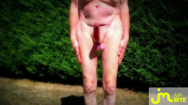 bites de Vxm&acirc;lebi46