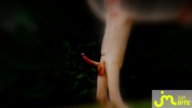 bites de Vxm&acirc;lebi46