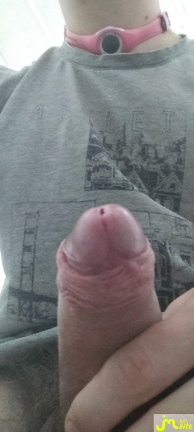 bites de Solan23