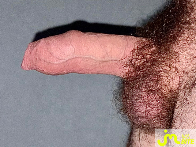 Photos de bites : Veines
