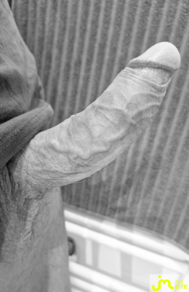 Photos de bites : Bient&ocirc;t l'&eacute;t&eacute;, thermom&egrave;tre grimpe 