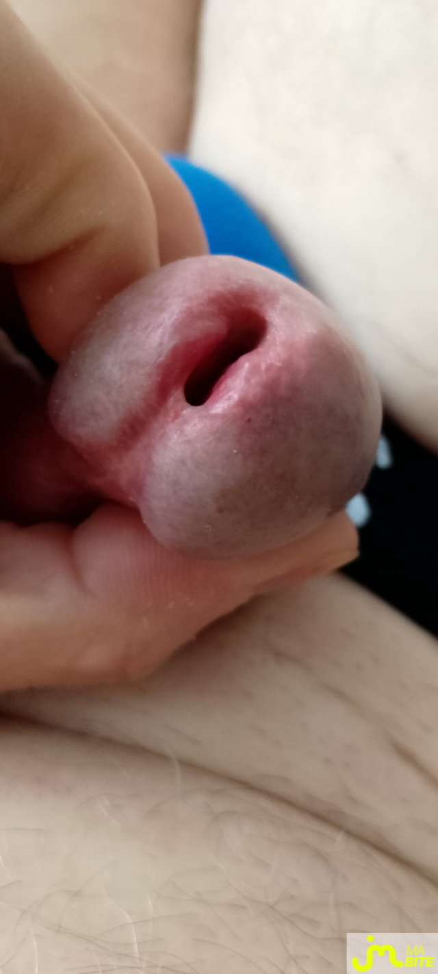 bites de Veys 59