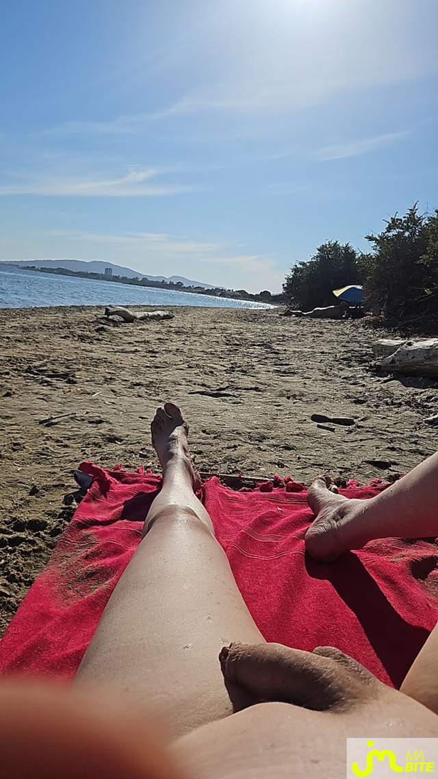 Photos de bites : Plage