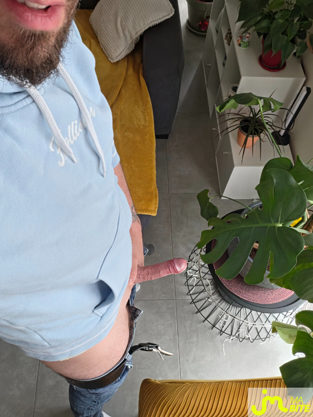 bites de Dimzou27