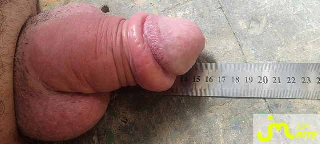 bites de hantha21