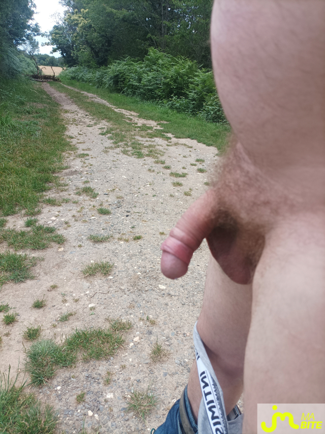 bites de Bulge01 