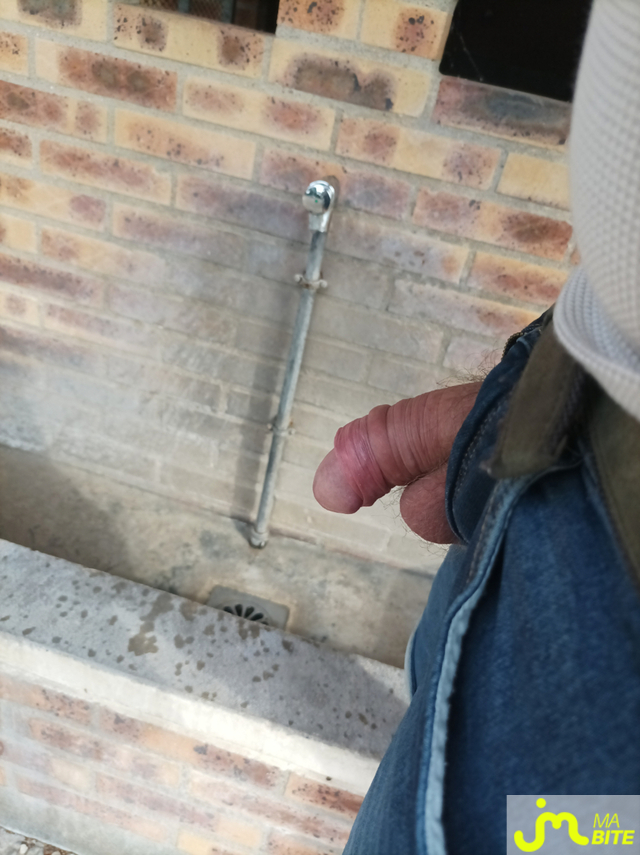 bites de Bulge01 