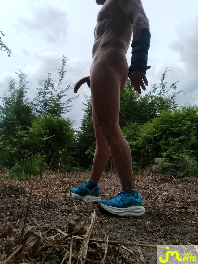 bites de le runner