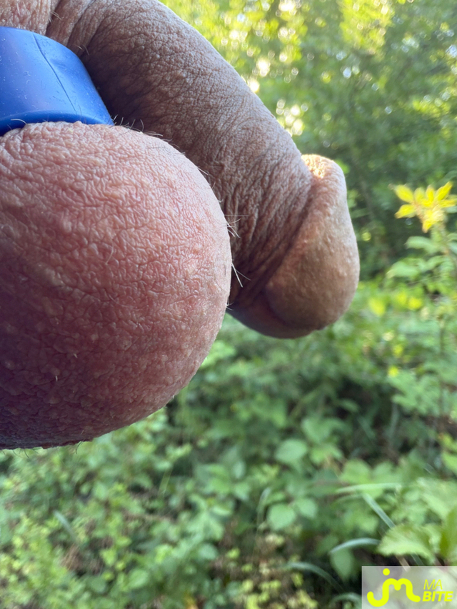 Photos de bites : Un colon pour les lib&eacute;rer 