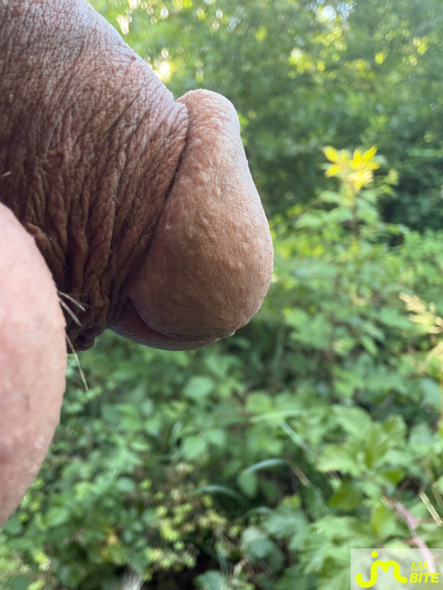 bites de Mau6950