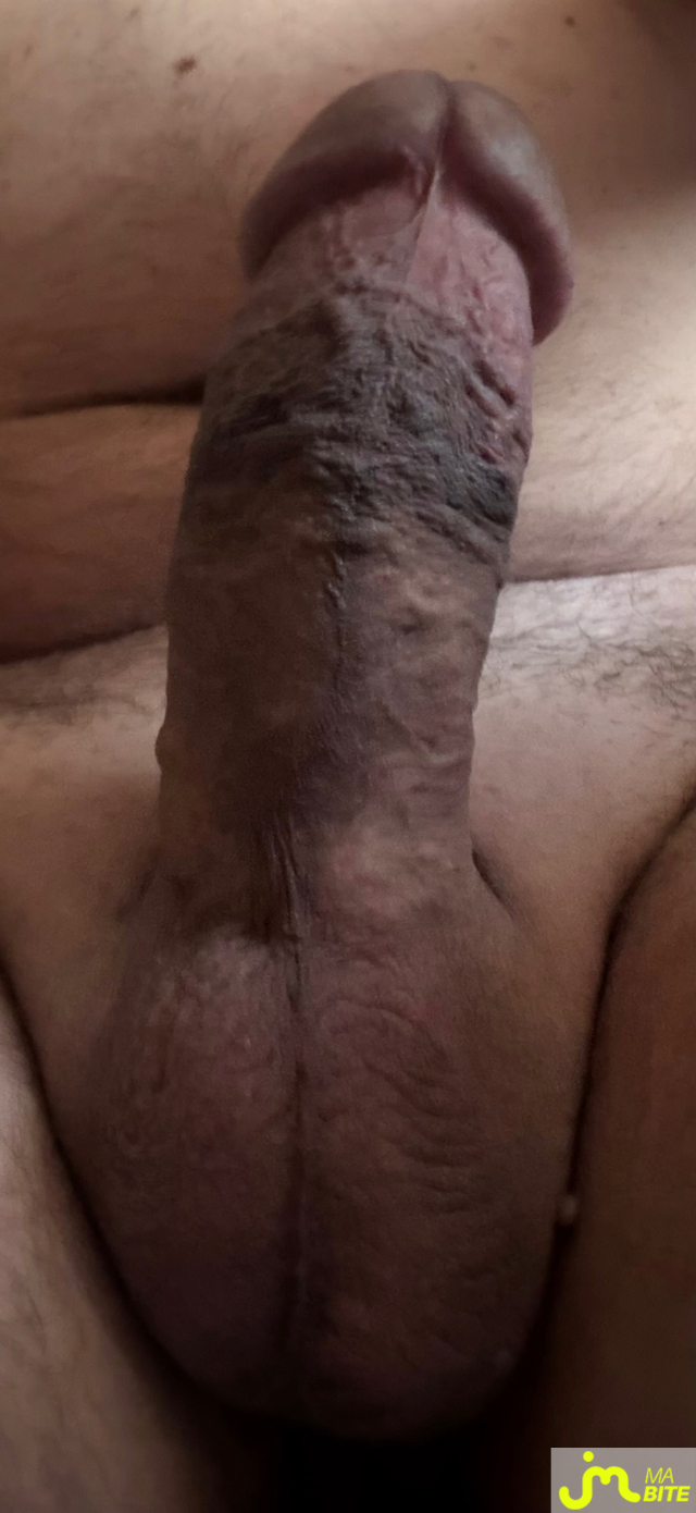 bites de Mau6950