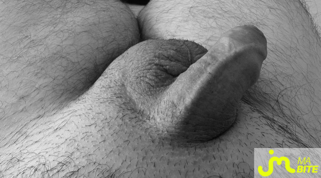bites de bite_&ocirc;_veines