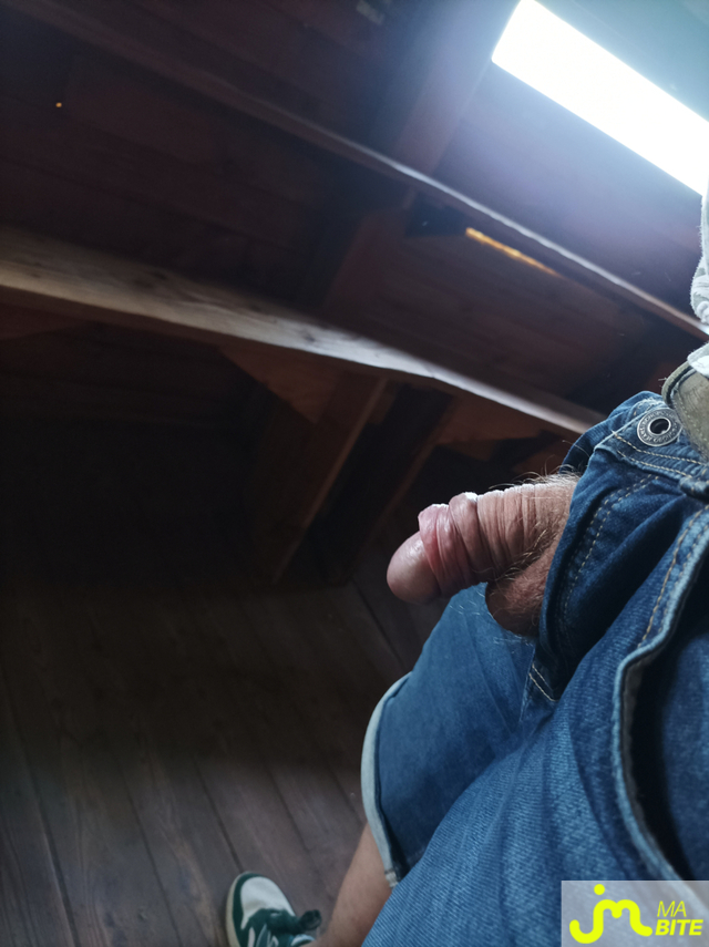 Photos de bites : Album 19 