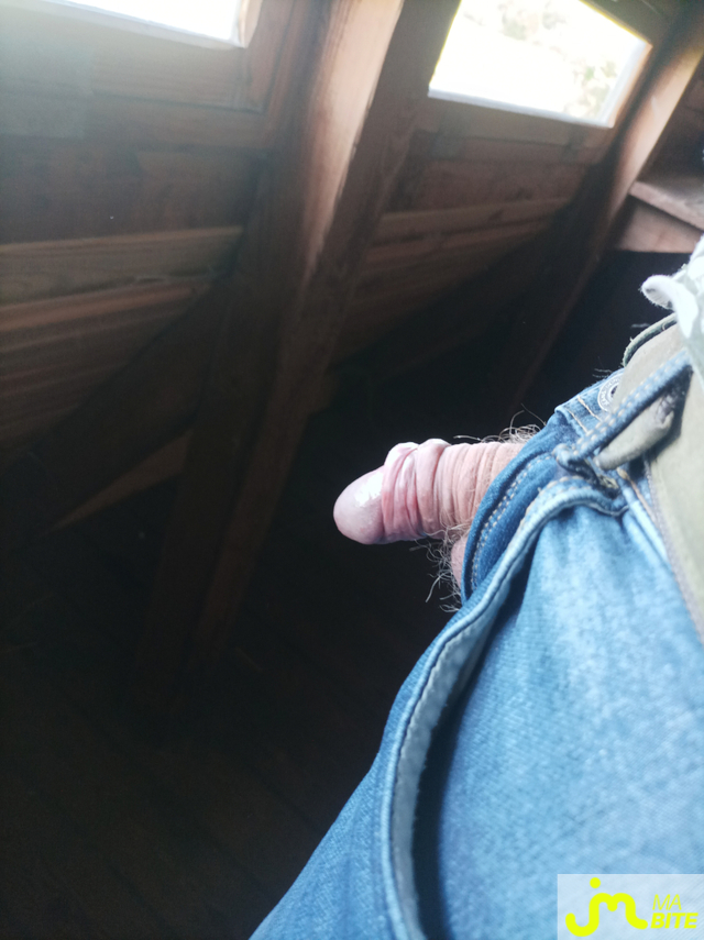 bites de Bulge01 