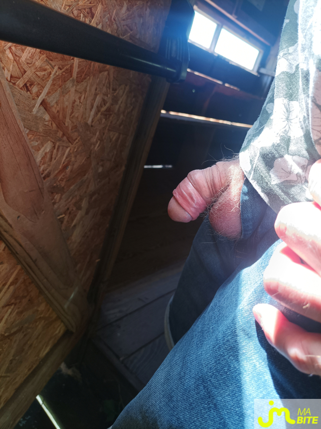 bites de Bulge01 
