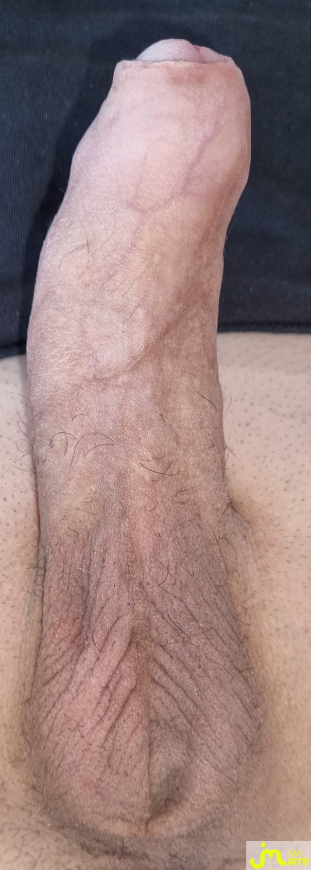 Photos de bites : Ma bite, mon gros gland et mes couilles