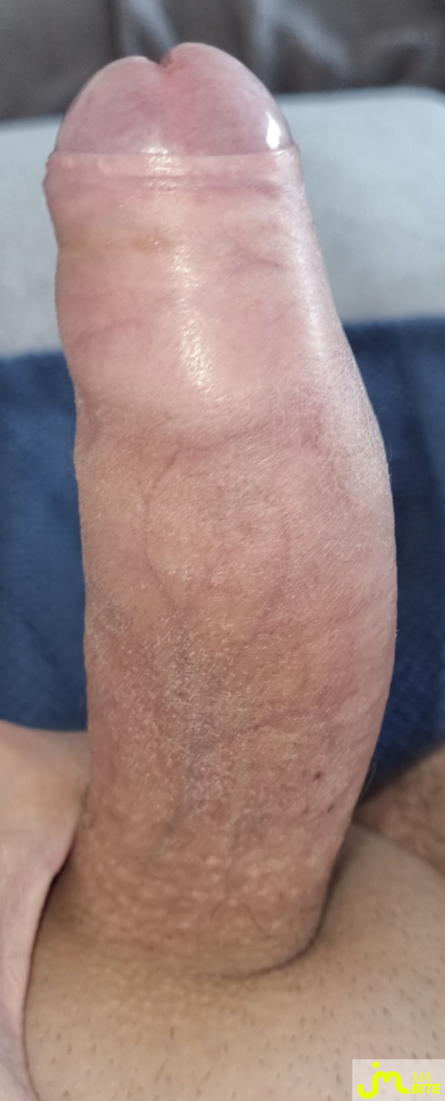 bites de coquindu766