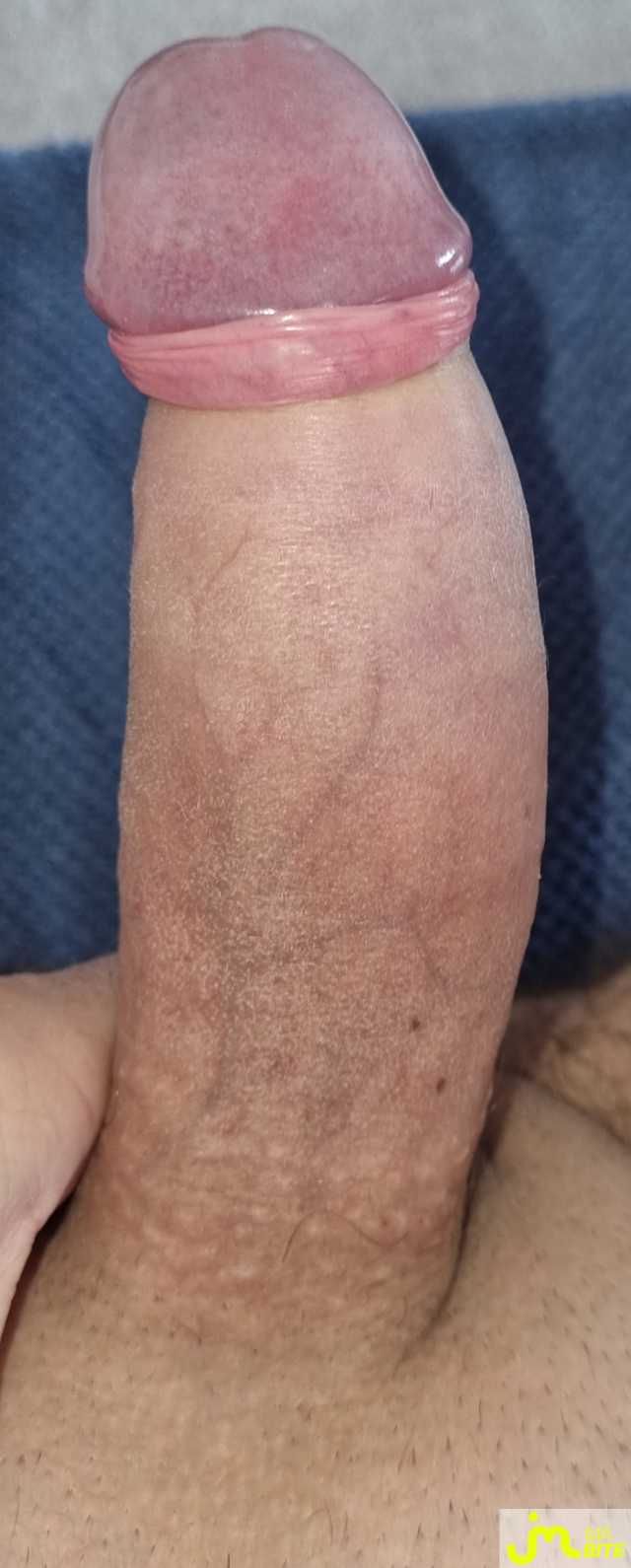 bites de coquindu766