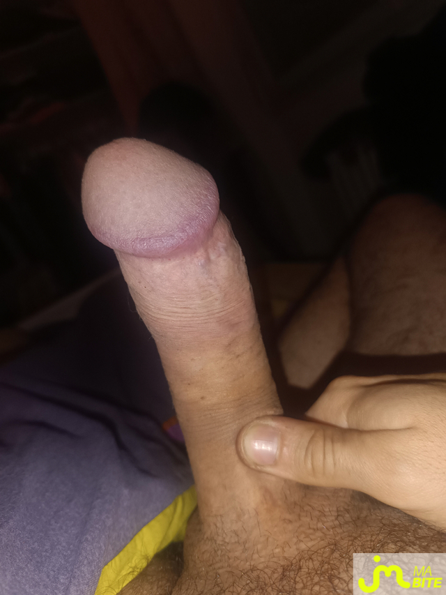 bites de pr&eacute;puce 29