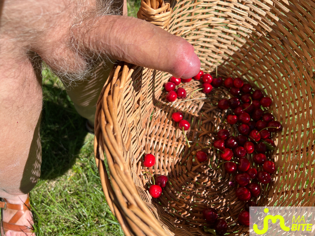 Photos de bites : Cerises : maigre r&eacute;colte