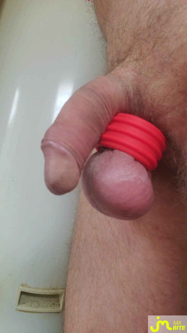 bites de Queute19