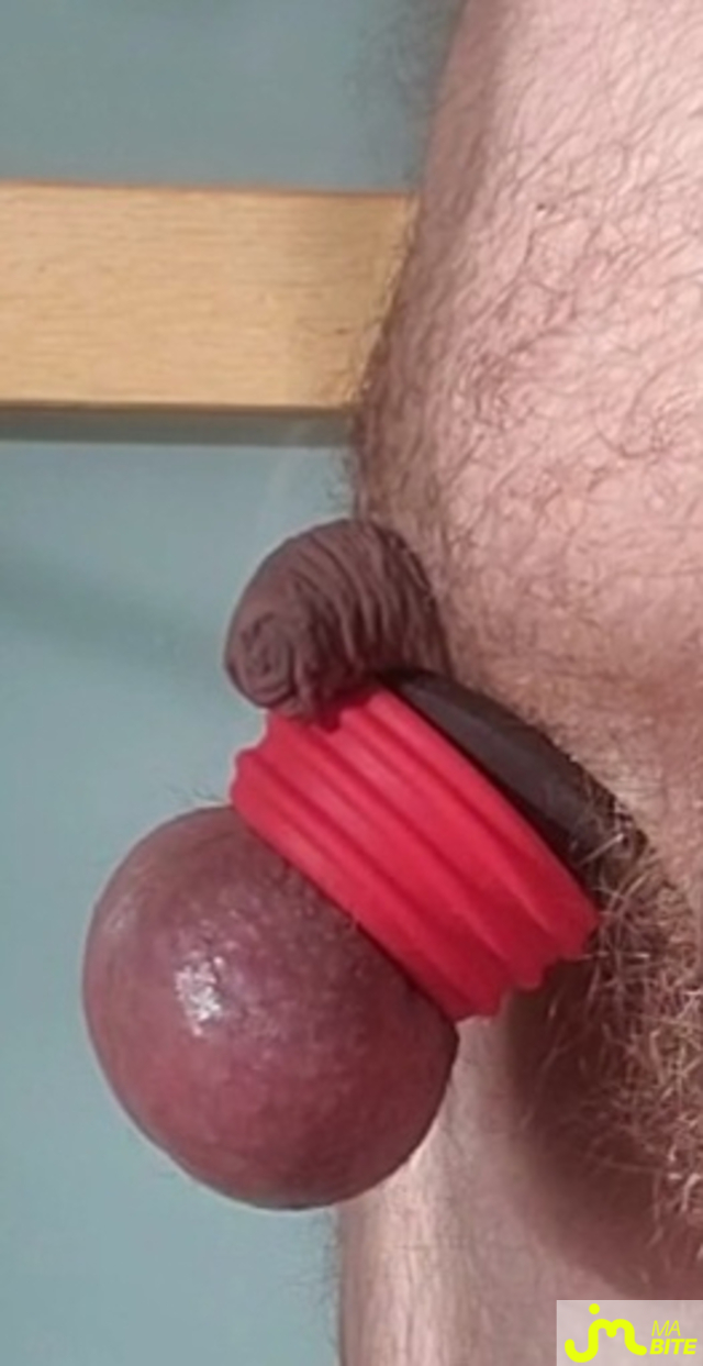 bites de Queute19