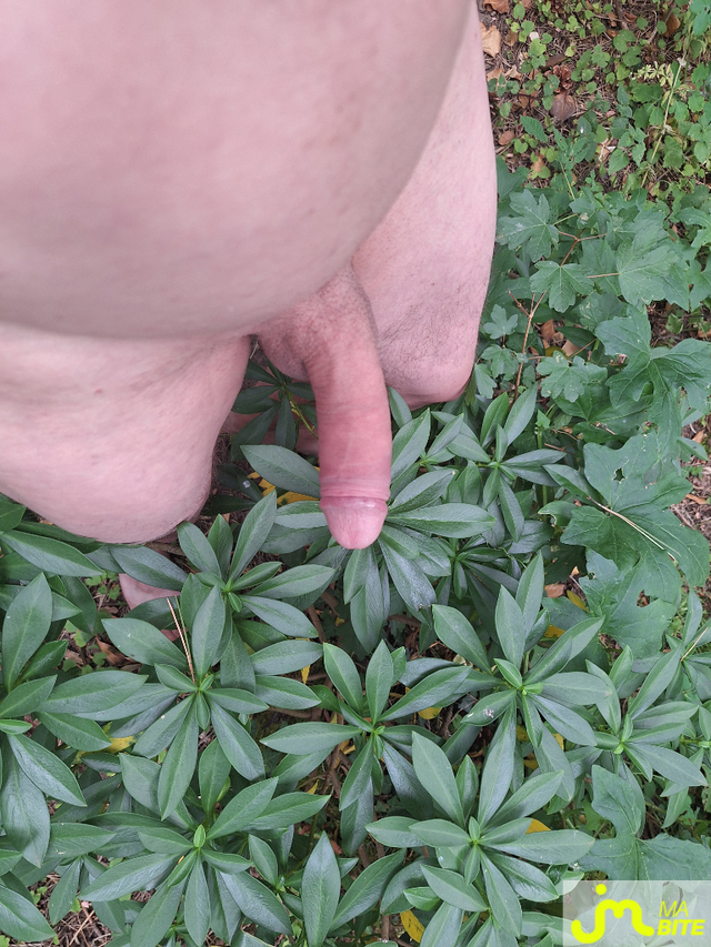 bites de Naturist54