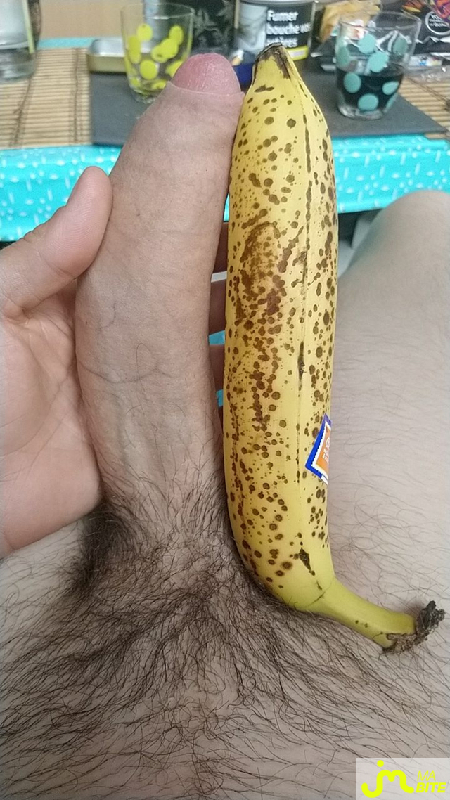 bites de brettlyses 