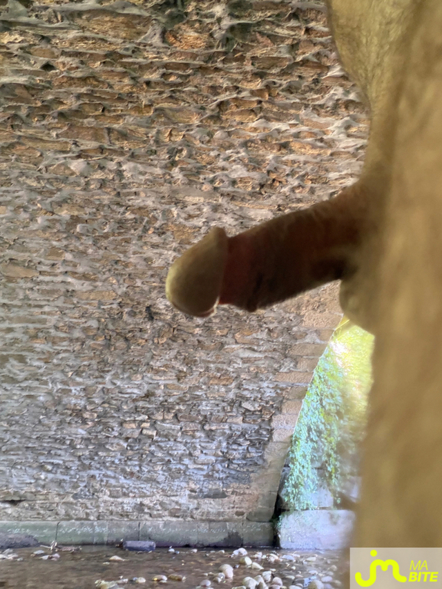 bites de Mau6950