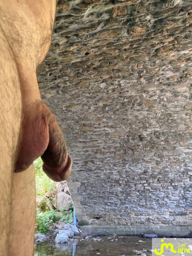 bites de Mau6950