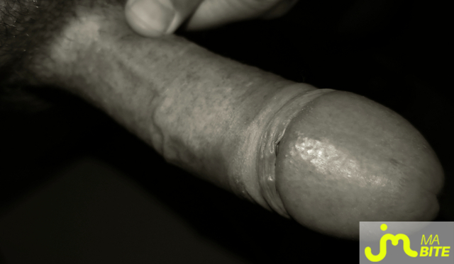 bites de Plaisir67000