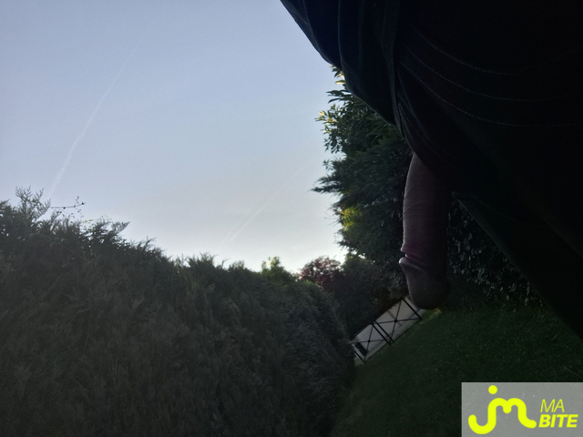 bites de Motard77