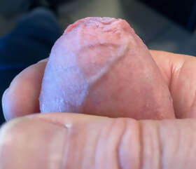 Photos de bites : Un peit par&ccedil;u