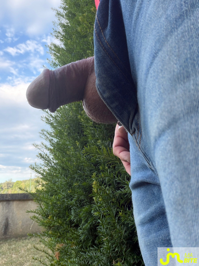 bites de Mau6950