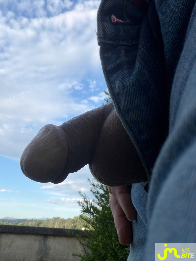 bites de Mau6950