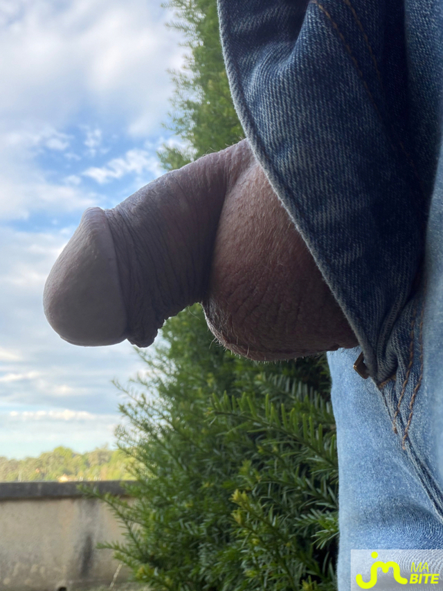 bites de Mau6950