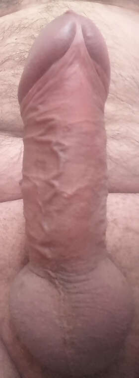 Photos de bites : &Eacute;lastique 