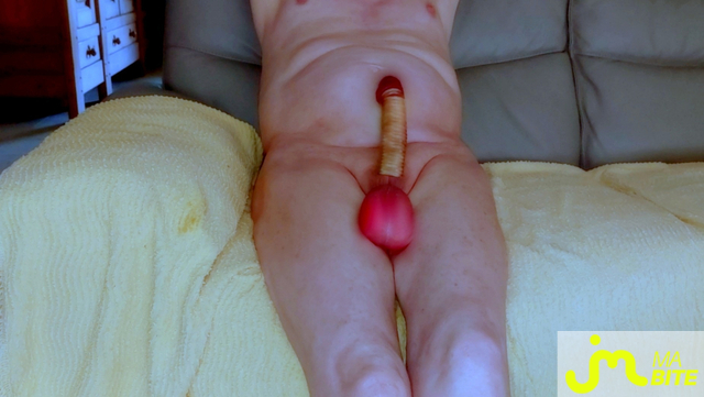 bites de Vxm&acirc;lebi46