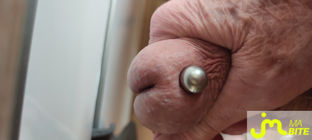 bites de Piercing 